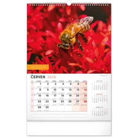 NOTIQUE Nástěnný Včelařský kalendář 2026, 33 x 46 cm