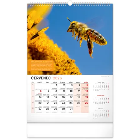 NOTIQUE Nástěnný Včelařský kalendář 2026, 33 x 46 cm
