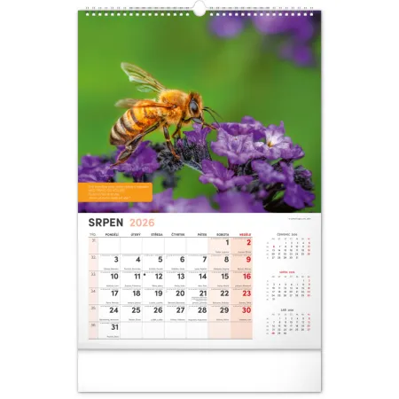 NOTIQUE Nástěnný Včelařský kalendář 2026, 33 x 46 cm