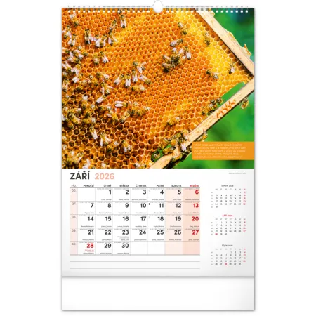 NOTIQUE Nástěnný Včelařský kalendář 2026, 33 x 46 cm