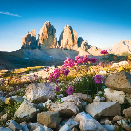 NOTIQUE Poznámkový kalendář Alpy 2026, 30 x 30 cm