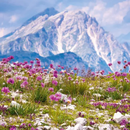 NOTIQUE Poznámkový kalendář Alpy 2026, 30 x 30 cm