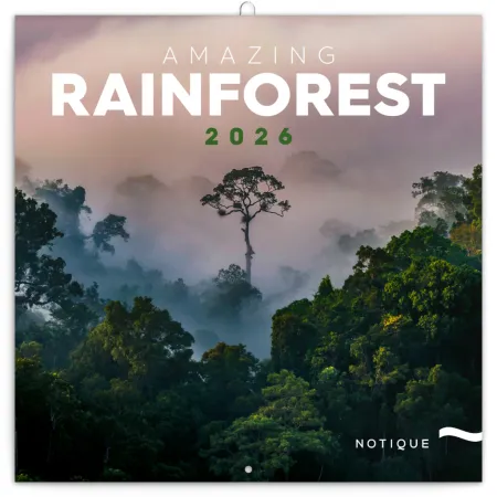 NOTIQUE Poznámkový kalendář Deštné pralesy 2026, 30 x 30 cm