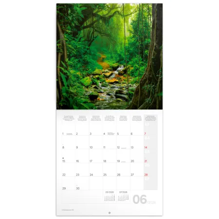 NOTIQUE Poznámkový kalendář Deštné pralesy 2026, 30 x 30 cm