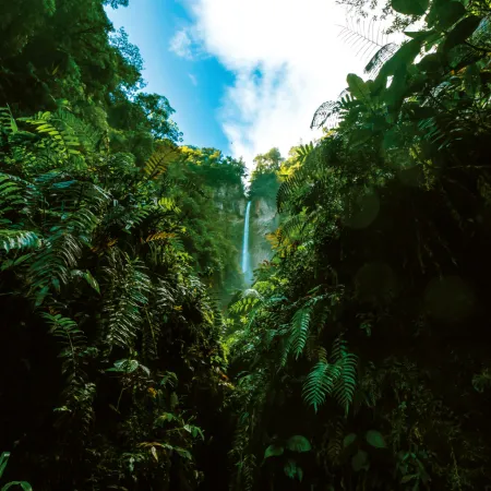 NOTIQUE Poznámkový kalendář Deštné pralesy 2026, 30 x 30 cm