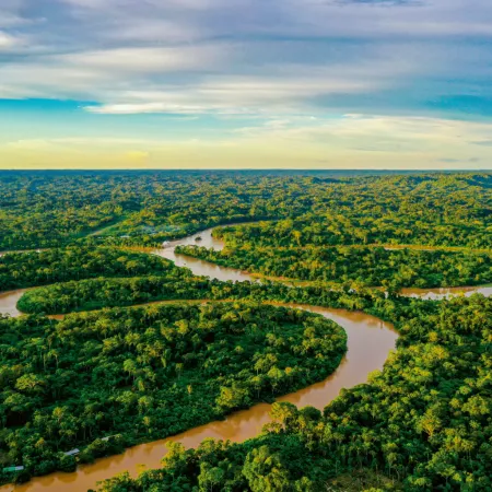 NOTIQUE Poznámkový kalendář Deštné pralesy 2026, 30 x 30 cm