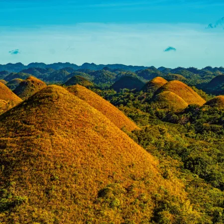 NOTIQUE Poznámkový kalendář Deštné pralesy 2026, 30 x 30 cm