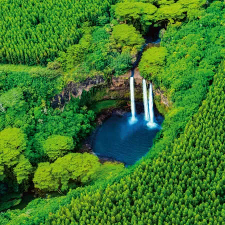 NOTIQUE Poznámkový kalendář Deštné pralesy 2026, 30 x 30 cm