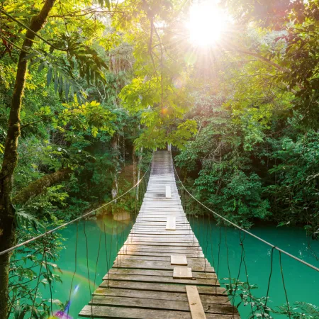 NOTIQUE Poznámkový kalendář Deštné pralesy 2026, 30 x 30 cm