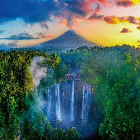 NOTIQUE Poznámkový kalendář Deštné pralesy 2026, 30 x 30 cm