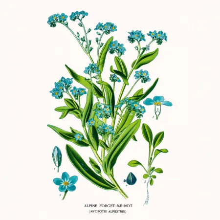 NOTIQUE Poznámkový kalendář Herbář 2026, 30 x 30 cm