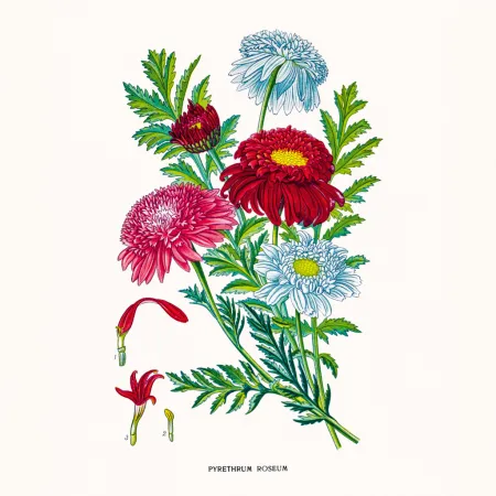 NOTIQUE Poznámkový kalendář Herbář 2026, 30 x 30 cm