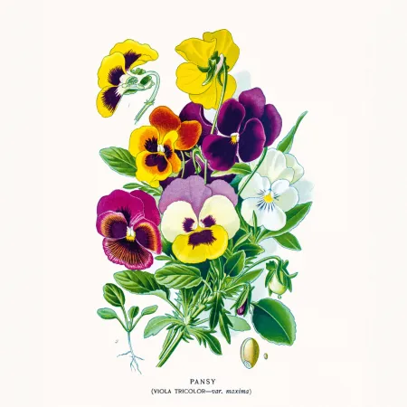 NOTIQUE Poznámkový kalendář Herbář 2026, 30 x 30 cm