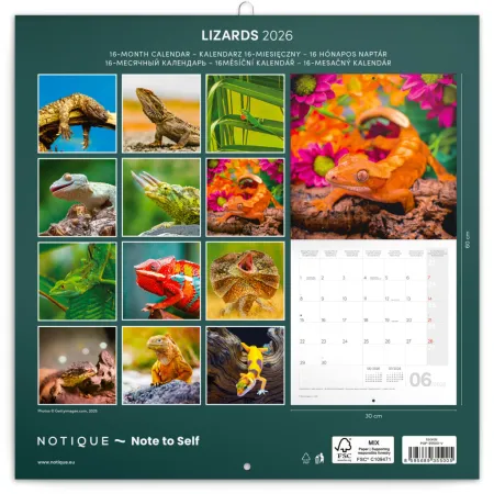 NOTIQUE Poznámkový kalendář Ještěři 2026, 30 x 30 cm