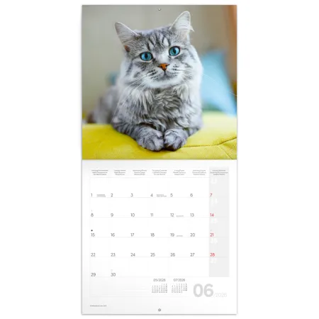 NOTIQUE Poznámkový kalendář Kočky 2026, 30 x 30 cm