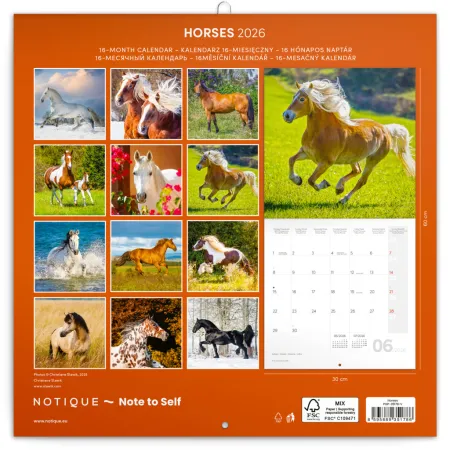 NOTIQUE Poznámkový kalendář Koně – Christiane Slawik 2026, 30 x 30 cm
