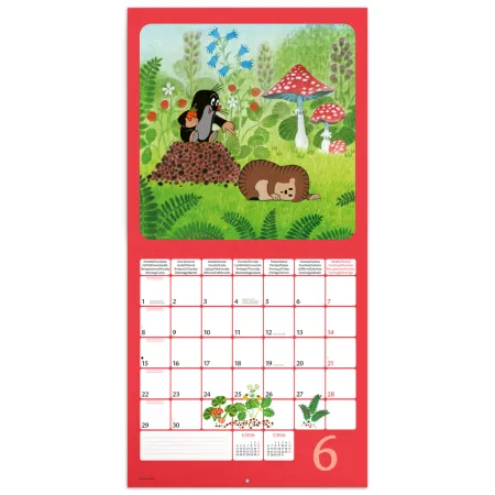 NOTIQUE Poznámkový kalendář Krteček 2026, 30 x 30 cm