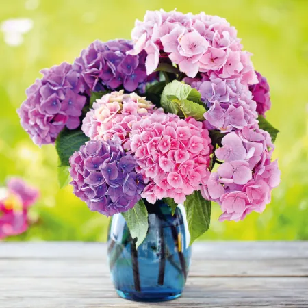 NOTIQUE Poznámkový kalendář Květiny 2026, 30 x 30 cm