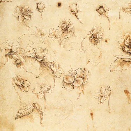 NOTIQUE Poznámkový kalendář Leonardo da Vinci 2026, 30 x 30 cm