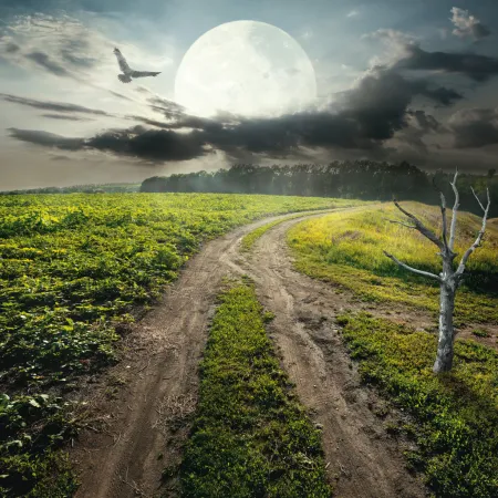 NOTIQUE Poznámkový kalendář Měsíc 2026, 30 x 30 cm