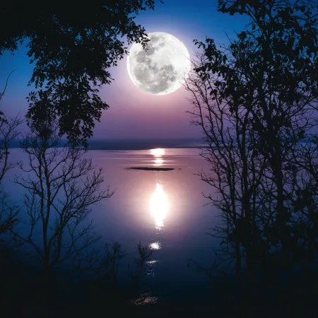 NOTIQUE Poznámkový kalendář Měsíc 2026, 30 x 30 cm