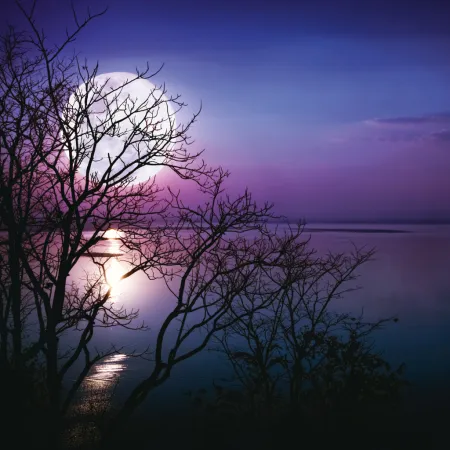 NOTIQUE Poznámkový kalendář Měsíc 2026, 30 x 30 cm