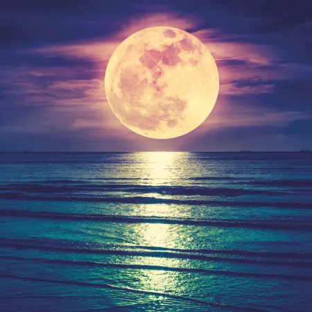 NOTIQUE Poznámkový kalendář Měsíc 2026, 30 x 30 cm