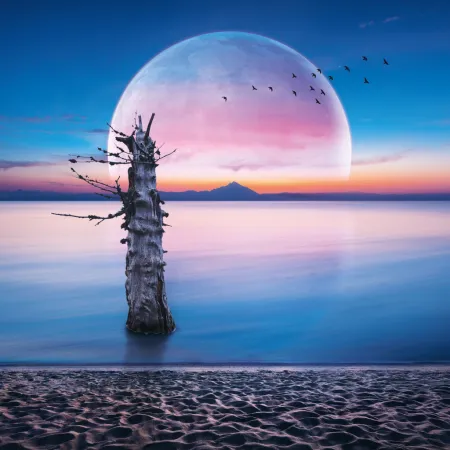 NOTIQUE Poznámkový kalendář Měsíc 2026, 30 x 30 cm