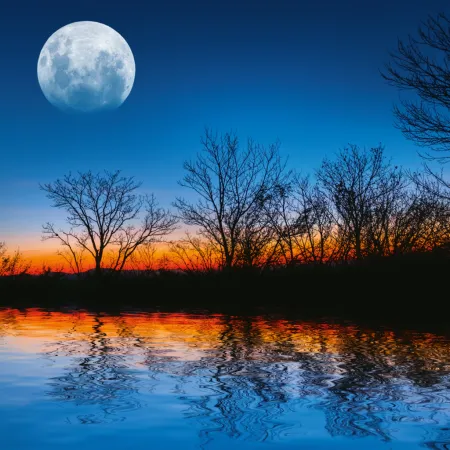 NOTIQUE Poznámkový kalendář Měsíc 2026, 30 x 30 cm