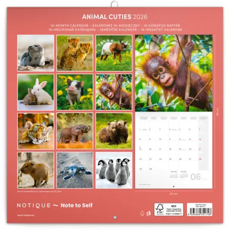 NOTIQUE Poznámkový kalendář Mláďata 2026, 30 x 30 cm