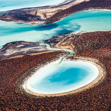 NOTIQUE Poznámkový kalendář Naše Planeta 2026, 30 x 30 cm