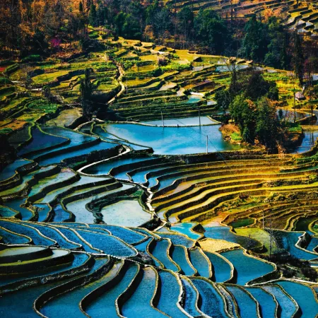 NOTIQUE Poznámkový kalendář Naše Planeta 2026, 30 x 30 cm