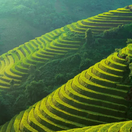 NOTIQUE Poznámkový kalendář Naše Planeta 2026, 30 x 30 cm