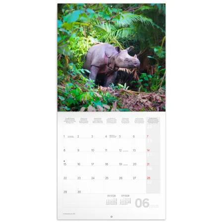 NOTIQUE Poznámkový kalendář Ohrožené druhy 2026, 30 x 30 cm