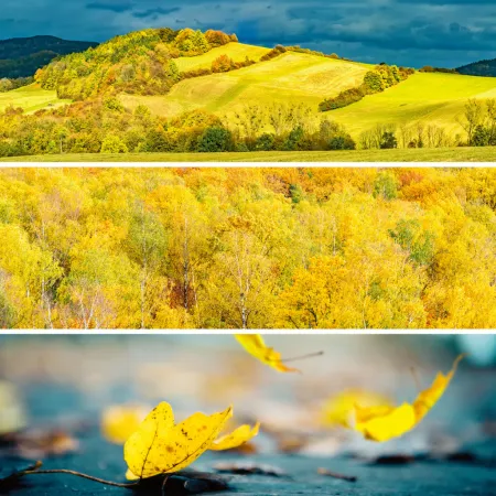 NOTIQUE Poznámkový kalendář Paleta 2026, 30 x 30 cm