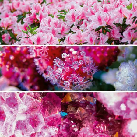 NOTIQUE Poznámkový kalendář Paleta 2026, 30 x 30 cm