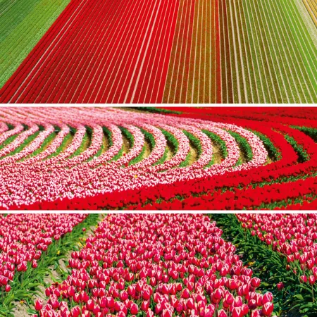 NOTIQUE Poznámkový kalendář Paleta 2026, 30 x 30 cm