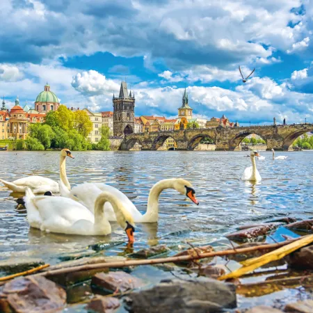 NOTIQUE Poznámkový kalendář Praha 2026, 30 x 30 cm