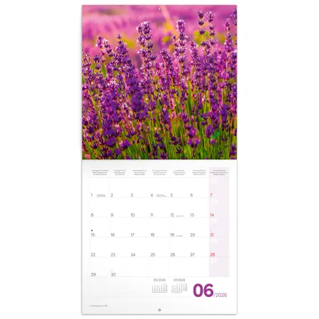 NOTIQUE Poznámkový kalendář Provence 2026, 30 x 30 cm