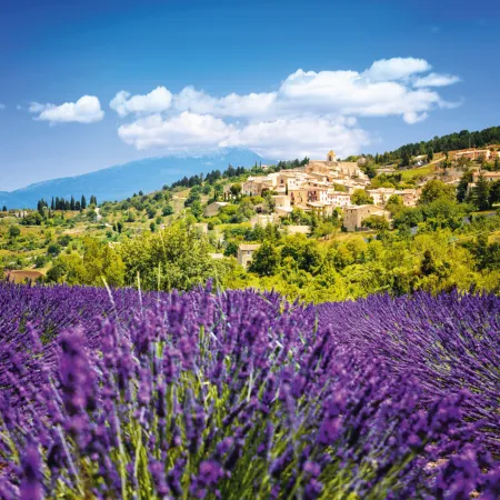 NOTIQUE Poznámkový kalendář Provence 2026, 30 x 30 cm