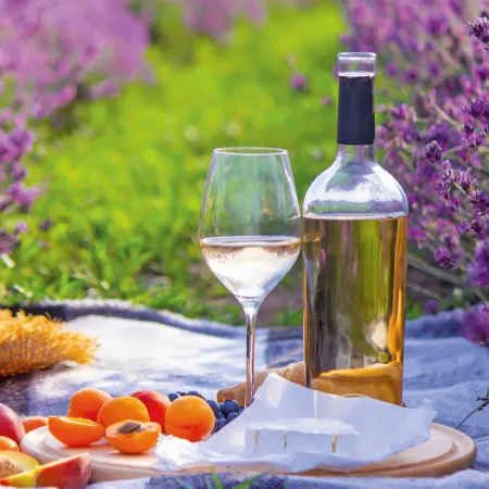 NOTIQUE Poznámkový kalendář Provence 2026, 30 x 30 cm