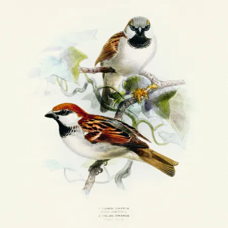 NOTIQUE Poznámkový kalendář Ptáčci 2026, 30 x 30 cm