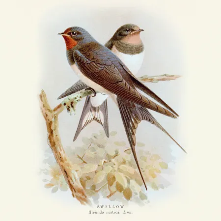 NOTIQUE Poznámkový kalendář Ptáčci 2026, 30 x 30 cm