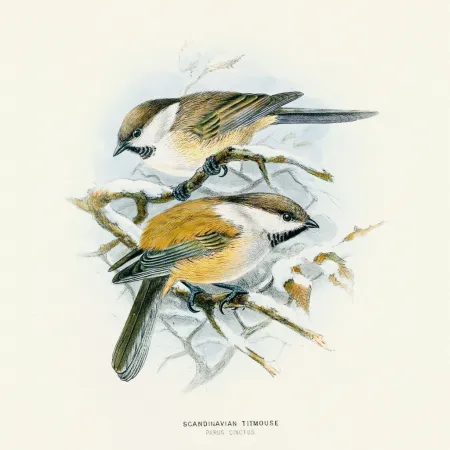 NOTIQUE Poznámkový kalendář Ptáčci 2026, 30 x 30 cm