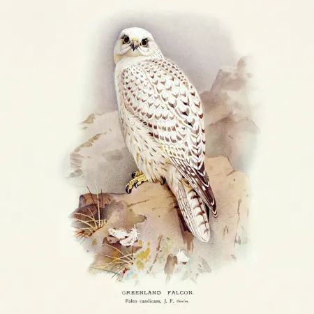 NOTIQUE Poznámkový kalendář Ptáčci 2026, 30 x 30 cm