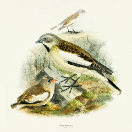 NOTIQUE Poznámkový kalendář Ptáčci 2026, 30 x 30 cm