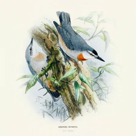 NOTIQUE Poznámkový kalendář Ptáčci 2026, 30 x 30 cm