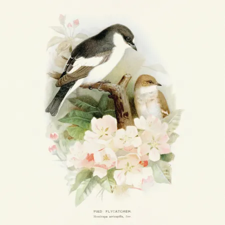 NOTIQUE Poznámkový kalendář Ptáčci 2026, 30 x 30 cm