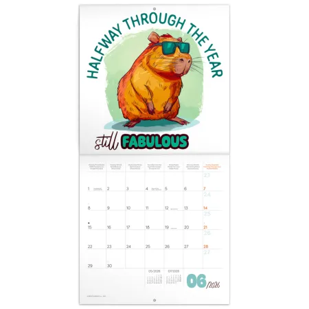 NOTIQUE Poznámkový kalendář Rozverné kapybary 2026, 30 x 30 cm