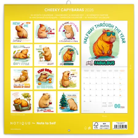 NOTIQUE Poznámkový kalendář Rozverné kapybary 2026, 30 x 30 cm